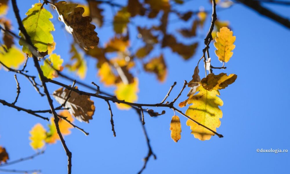 Vremea se încălzește în weekend, apoi schimbă foaia