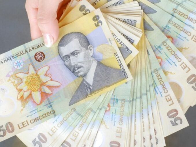 Idei de afaceri la curte pentru 2026. Investiții mici, profit rapid