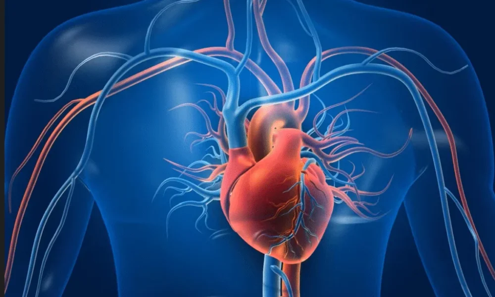 Melatonina poate afecta sănătatea inimii. Studiul va fi prezentat la un eveniment internaţional de referinţă