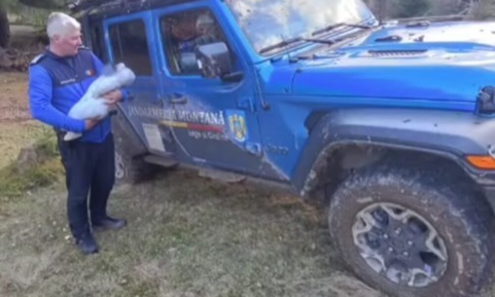Patru adulţi şi un bebeluş, salvați de jandarmii montani