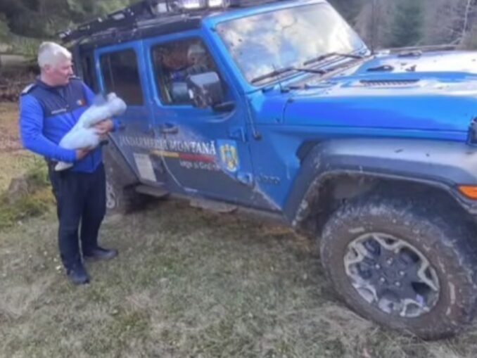 Patru adulţi şi un bebeluş, salvați de jandarmii montani