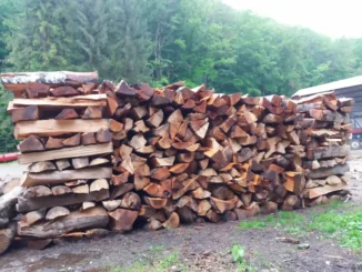 Volumul de lemn exploatat în România a crescut cu 7,5% în anul 2025. Peste 40% din producție ajunge lemn de foc