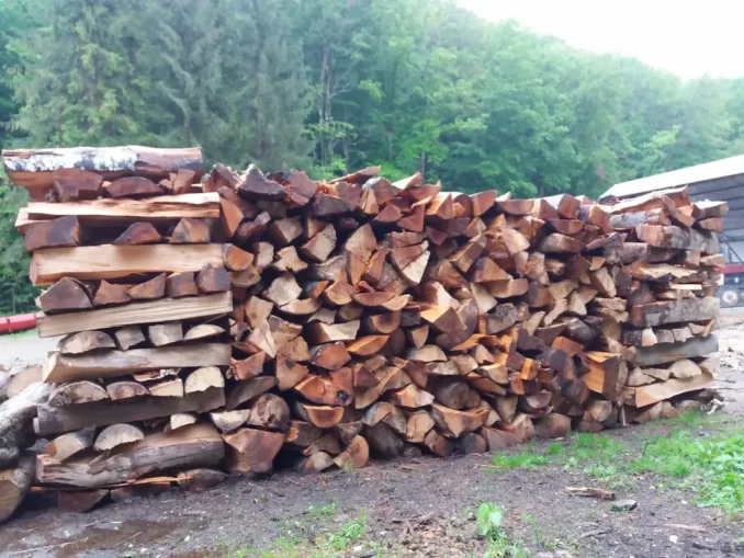 Romsilva și-a deschis un magazin online cu lemne de foc. Cât costă un metru cub