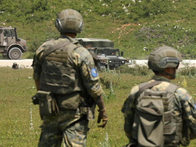 Proiecte militare cu bani europeni din SAFE, secret de stat în România