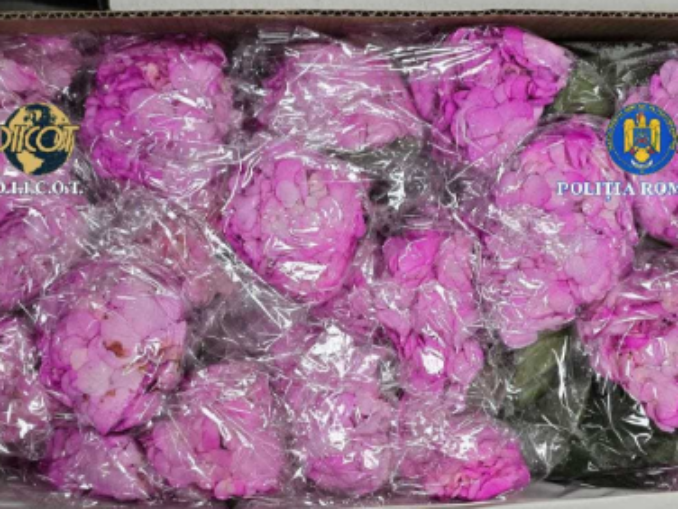 Cocaină columbiană impregnată în cartoane de flori, livrată în România