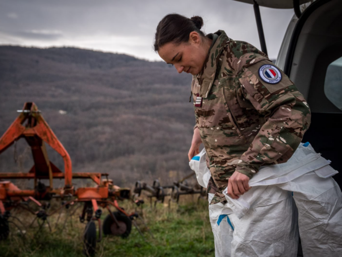 Armata franceză, în război cu o epidemie bovină