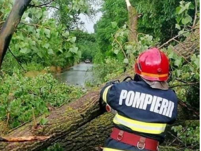 Un copac a căzut pe acoperișul unui spital