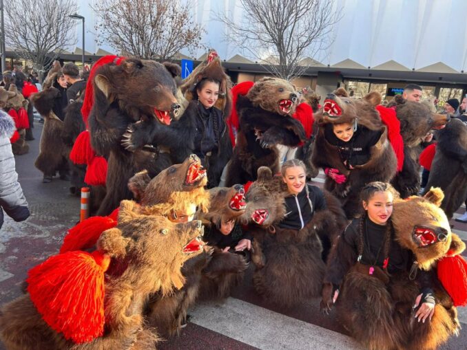 M-am întors la urșii din copilărie și am înțeles ceva despre noi