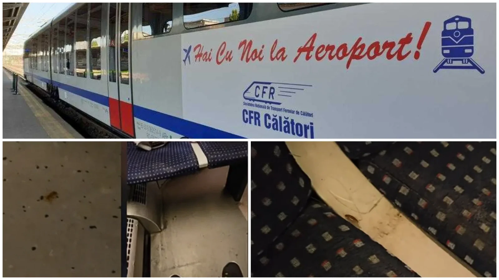 Decizia CFR pe trenul plin de gândaci