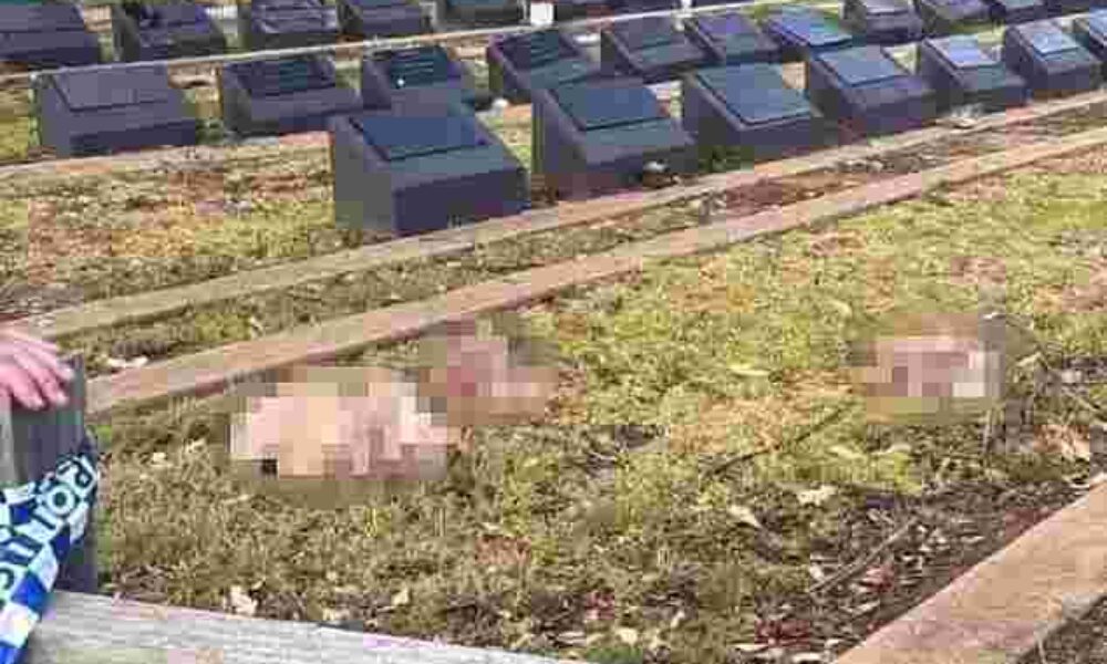 Cimitir musulman, profanat cu capete de porc