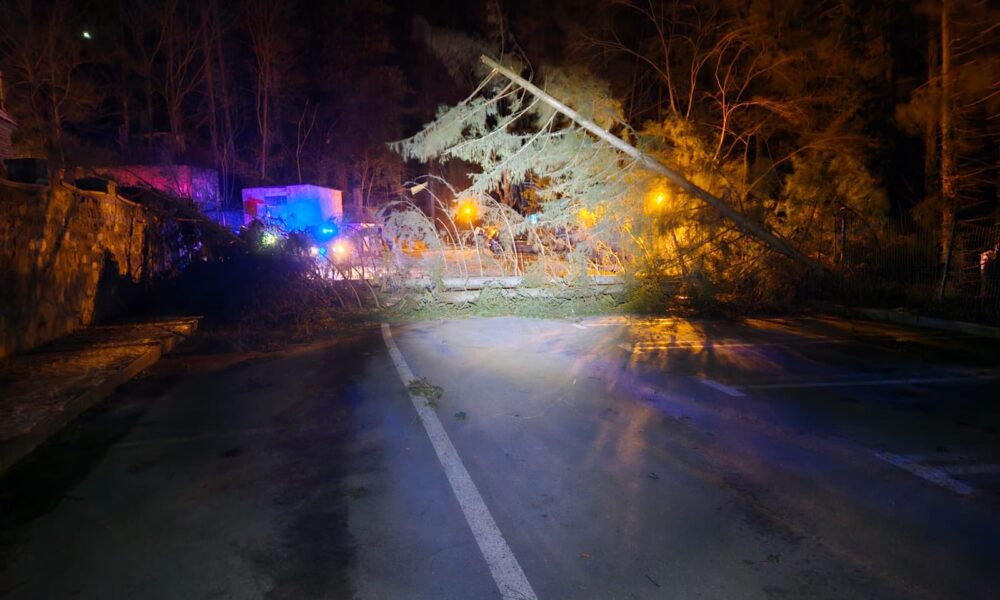 Zeci de copaci și doi stâlpi de curent, dărâmați de vânt