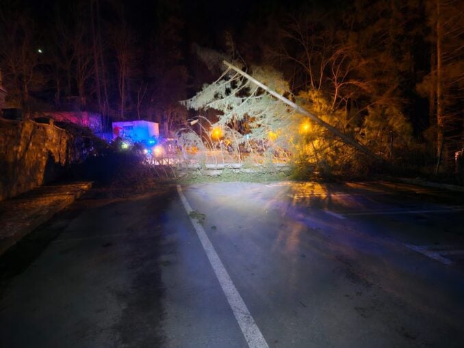 Zeci de copaci și doi stâlpi de curent, dărâmați de vânt