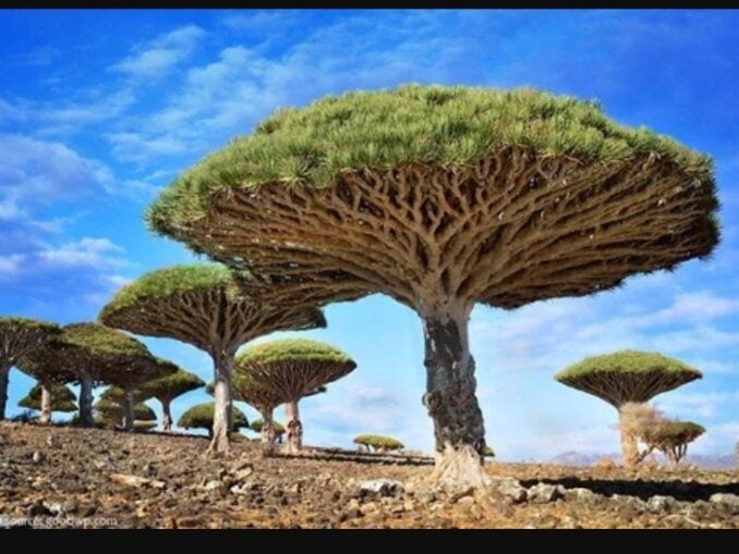 Locuri atât de bizare încât par fake