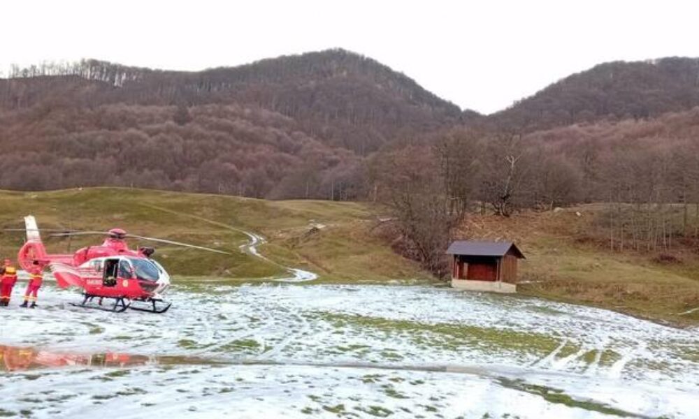 Persoană atacată de mistreţ, în judeţul Argeş