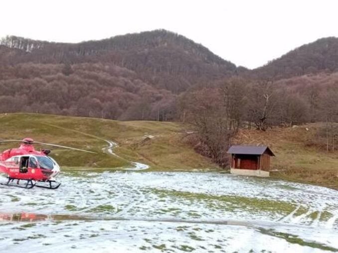 Persoană atacată de mistreţ, în judeţul Argeş