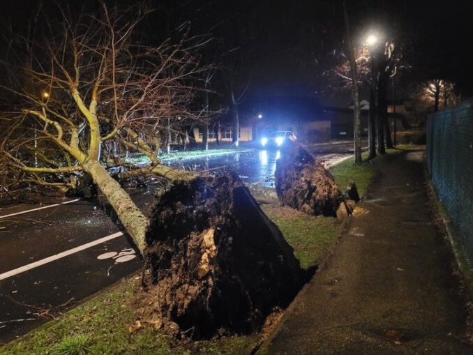 Furtună fără precedent în vestul Europei. 380.000 de locuințe, fără electricitate. Vântul a bătut cu peste 200 de km la oră