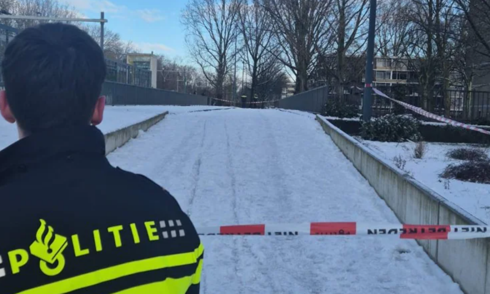 O ceartă izbucnită de la bulgări de zăpadă s-a terminat cu un deces
