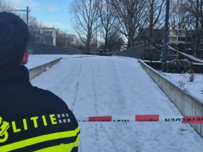 O ceartă izbucnită de la bulgări de zăpadă s-a terminat cu un deces