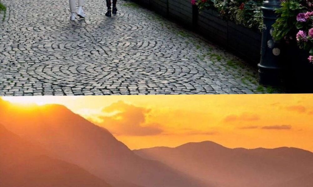 Viața la țară, viața la oraș. Două lumi paralele între liniște și viteză