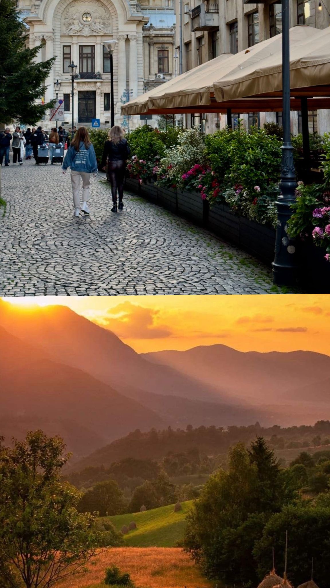 Viața la țară, viața la oraș. Două lumi paralele între liniște și viteză