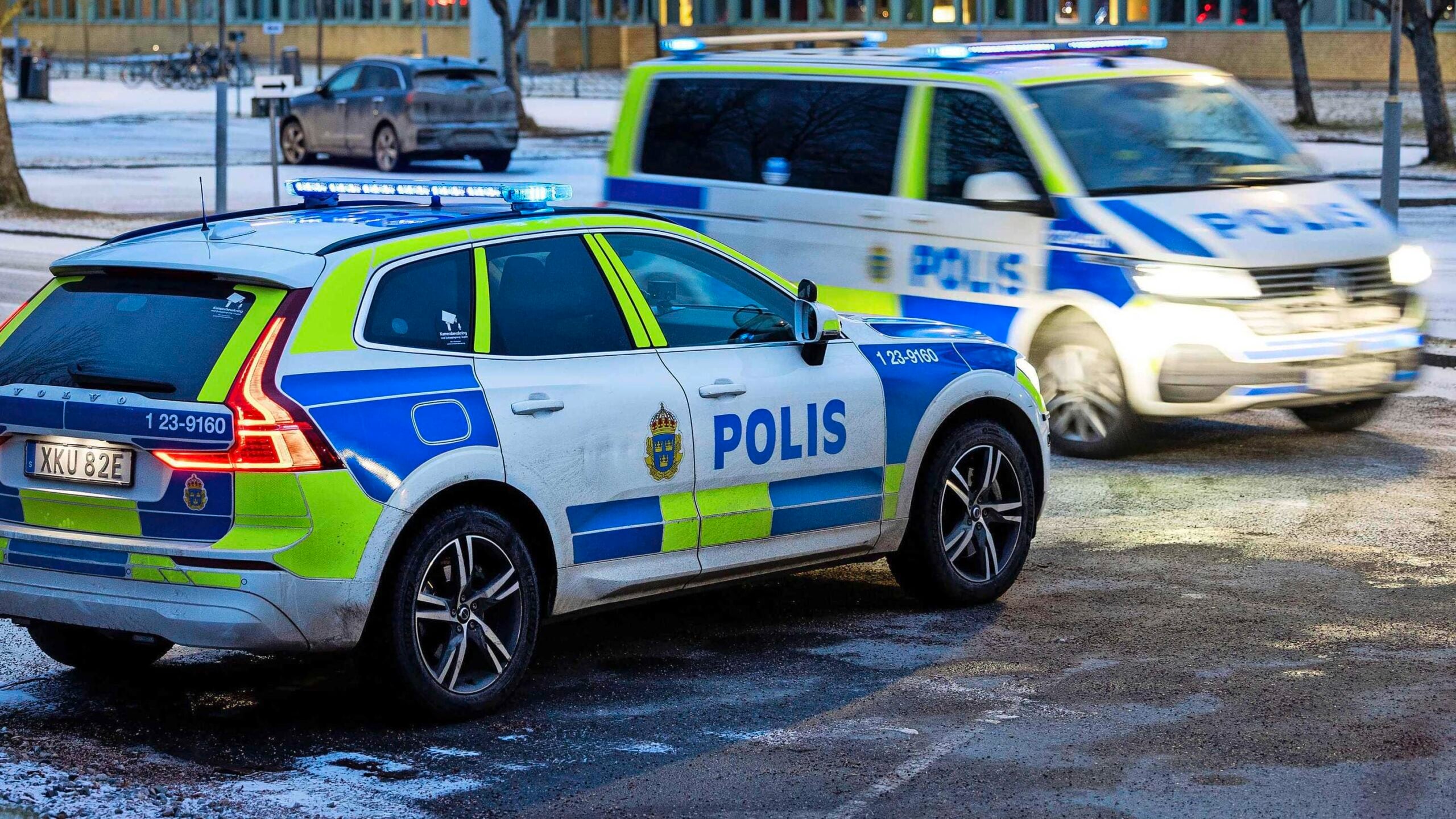 Închisoare pentru minorii de 13 ani care comit omoruri într-un stat UE. Ce spune Codul Penal românesc