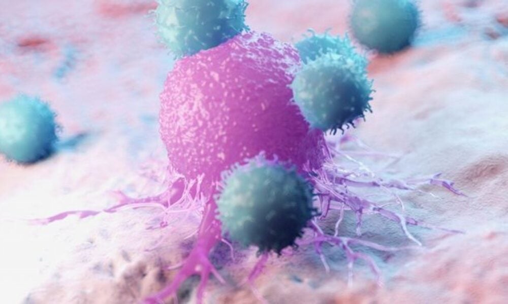 Noi dovezi privind rolul celulelor sistemului imunitar în cancer şi inflamaţie