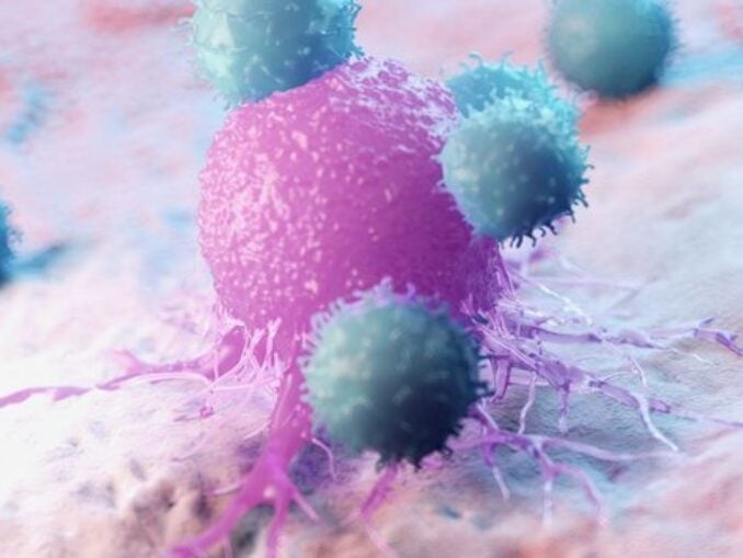 Noi dovezi privind rolul celulelor sistemului imunitar în cancer şi inflamaţie