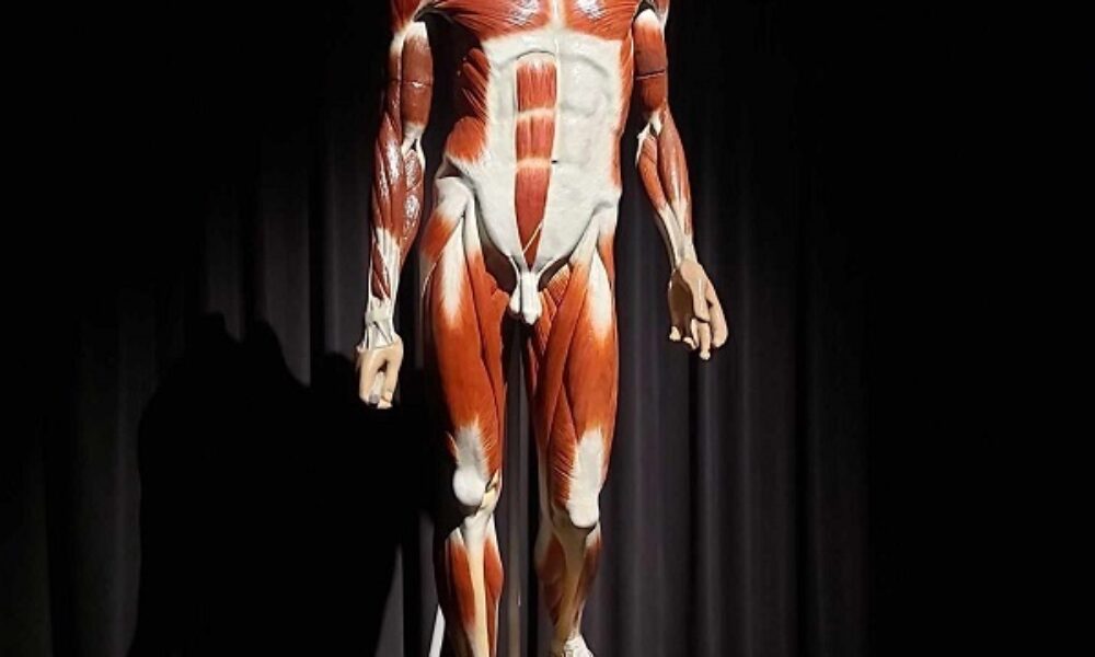 Brâncuși sub lupa Academiei Române