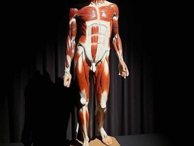 Brâncuși sub lupa Academiei Române