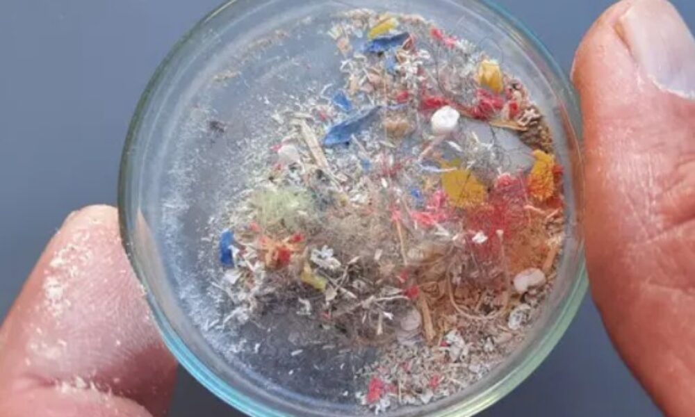 „Bombă” în lumea ştiinţei: Acurateţea studiilor despre microplasticul din organism, pusă la îndoială