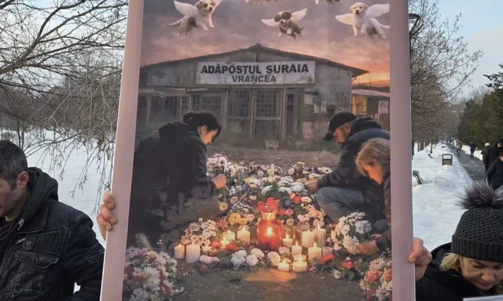 Iubitorii de animale cer lege nouă: Protest masiv la Parlament