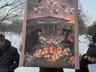 Iubitorii de animale cer lege nouă: Protest masiv la Parlament