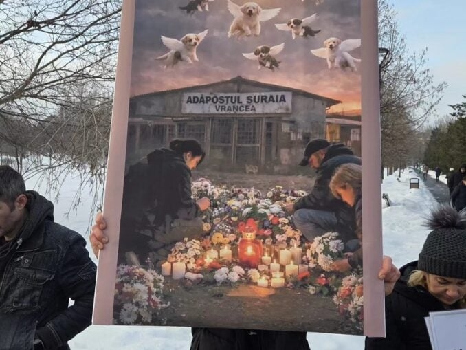 Iubitorii de animale cer lege nouă: Protest masiv la Parlament