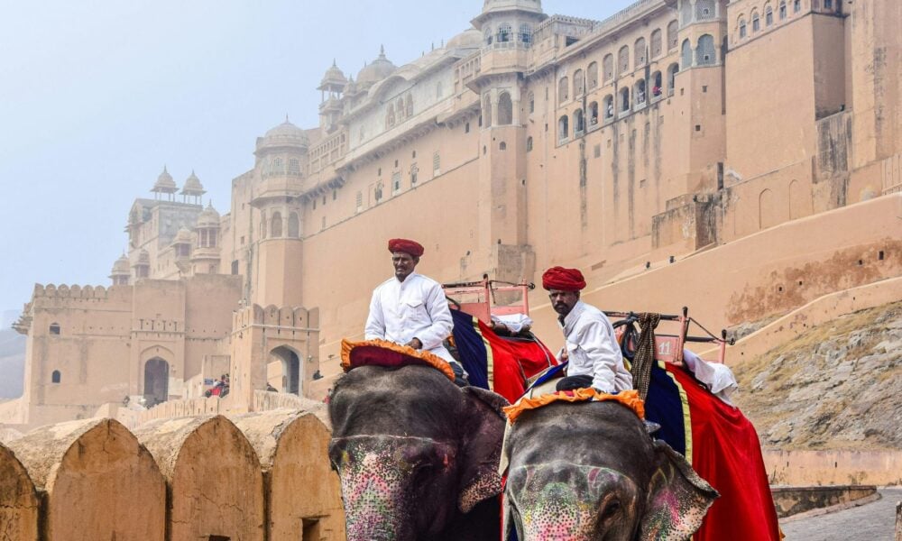 Indonezia interzice plimbările pe elefanți