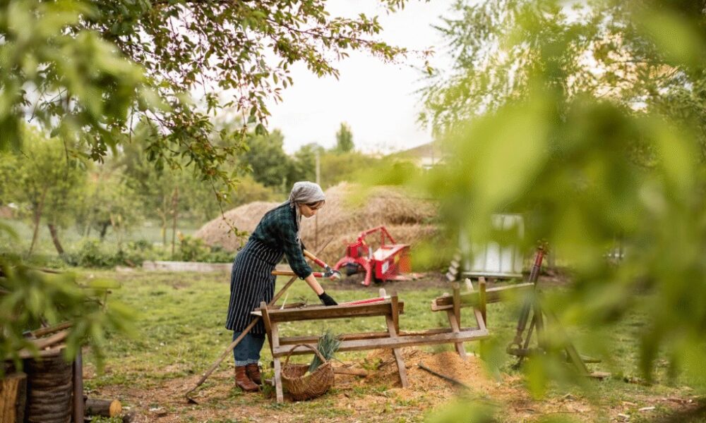 5 idei de business rural care pot aduce 1.500 € pe lună