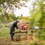 afaceri la tara profitabile bani 2026