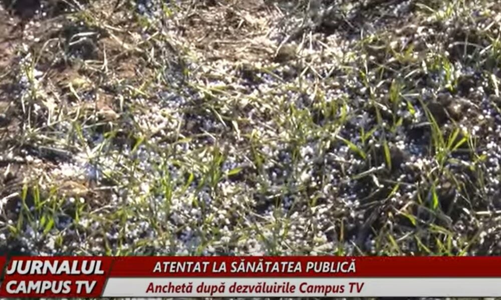 Anchetă la Buzău după o fertilizare chimică ilegală