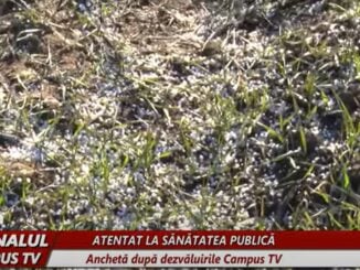 Anchetă la Buzău după o fertilizare chimică ilegală