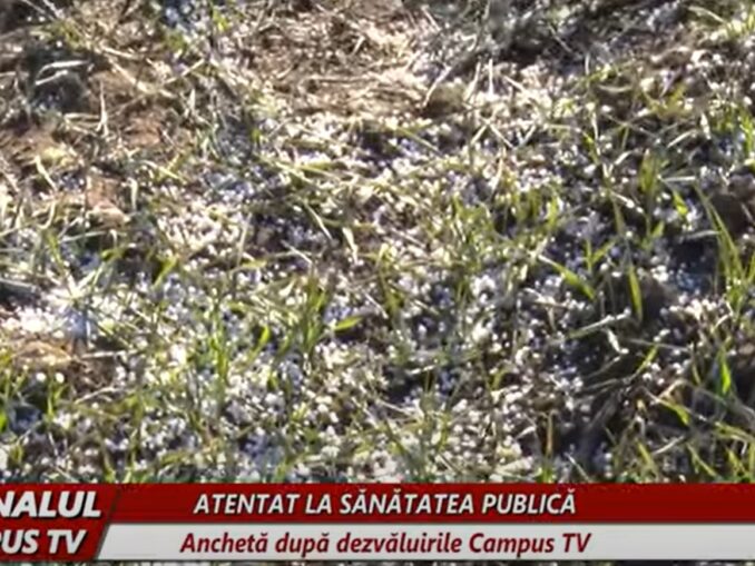Anchetă la Buzău după o fertilizare chimică ilegală
