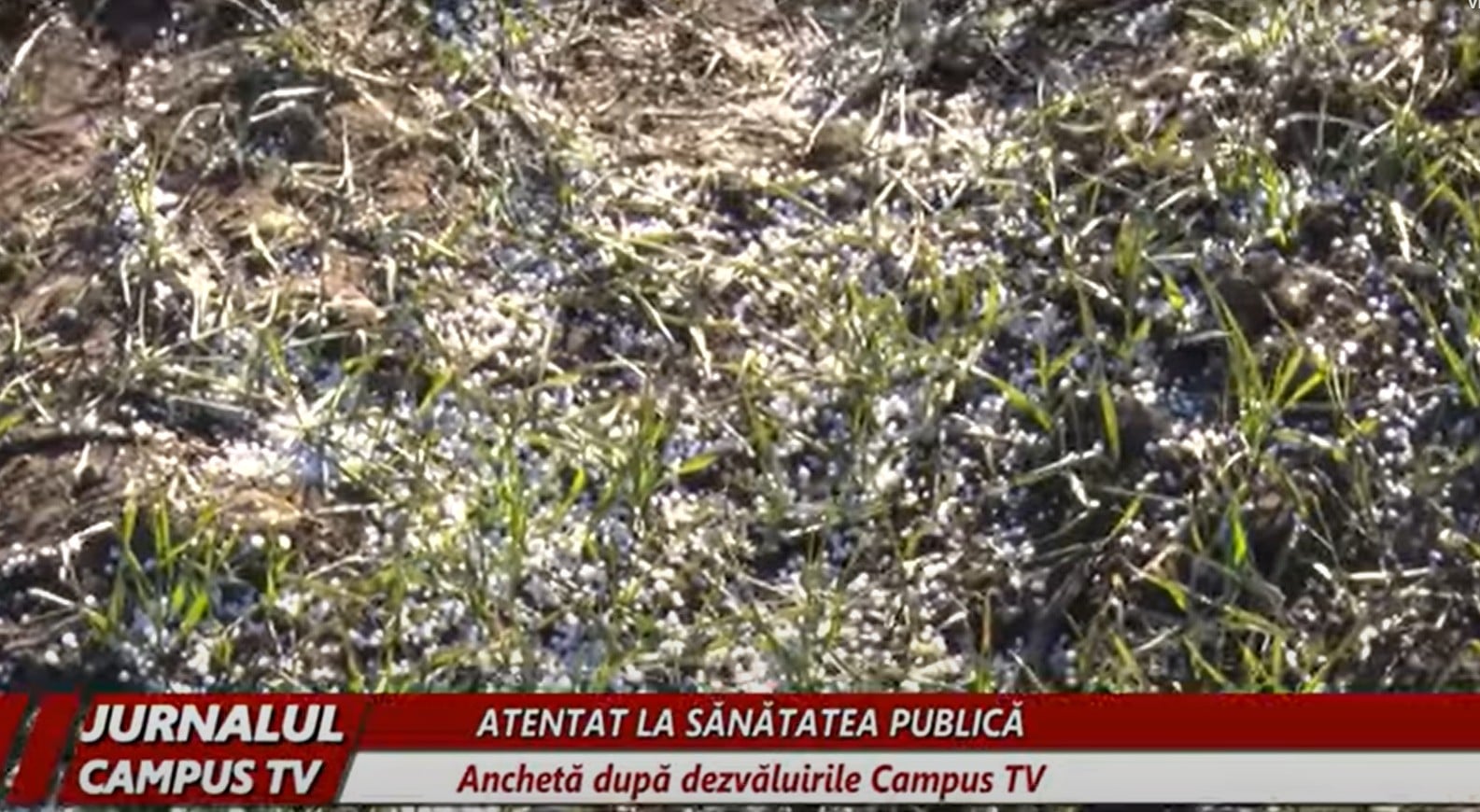 Anchetă la Buzău după o fertilizare chimică ilegală