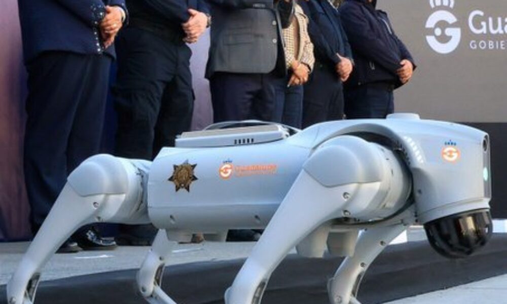 Securitate hi-tech. Câini-roboți, de pază la Cupa Mondială din Mexic