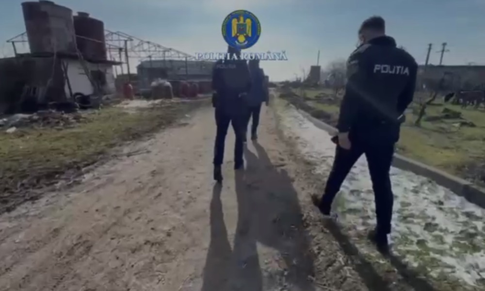 Amendă usturătoare pentru o fermă din Prahova după un control al poliției