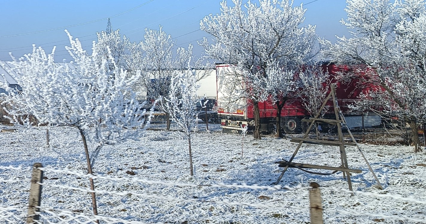 Bani pentru pomicultorii afectați de îngheț
