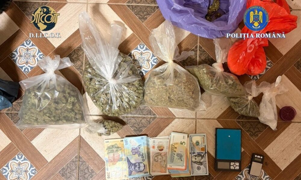 Percheziții DIICOT în Timiș într-un dosar legat de crima din Cenei: droguri și un pistol găsite la suspecți