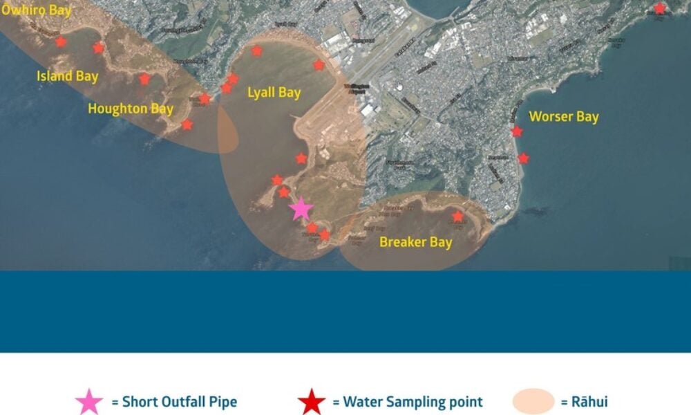VIDEO ”Dezastru ecologic” în capitala Noii Zeelande