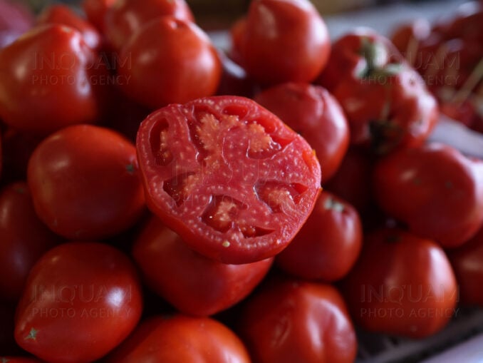 Primele roșii românești: ”Vrei să mănânci în martie, plătești”