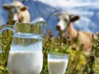 Lapte hrănitor și lapte … cancerigen!?