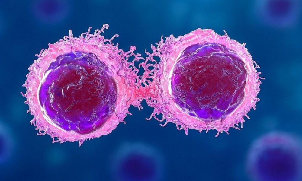 Cum poate fi blocată leucemia direct la sursă