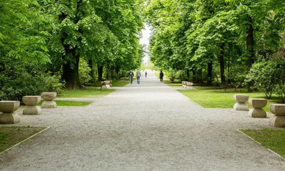 Parcul Central din Târgu-Jiu intră în șantier: Proiect de 20 de milioane de euro
