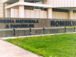 Reforma Romsilva avansează: numărul directorilor va fi redus de la 101 la 38, anunță Diana Buzoianu VIDEO